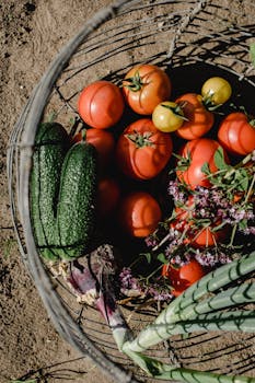 Cultivating Sustainability: The Rise of Eco-Friendly Farming in the Mediterranean